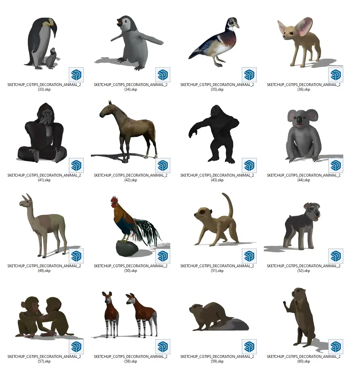Animal