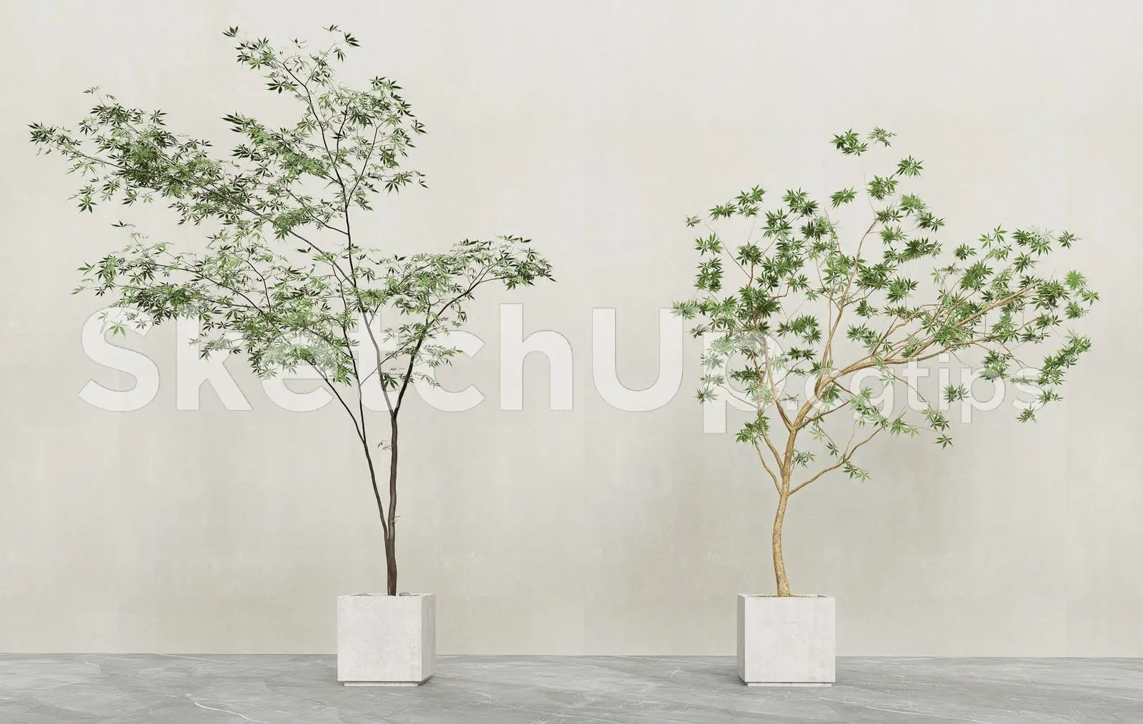 Plant — preview 1 (cgtips)