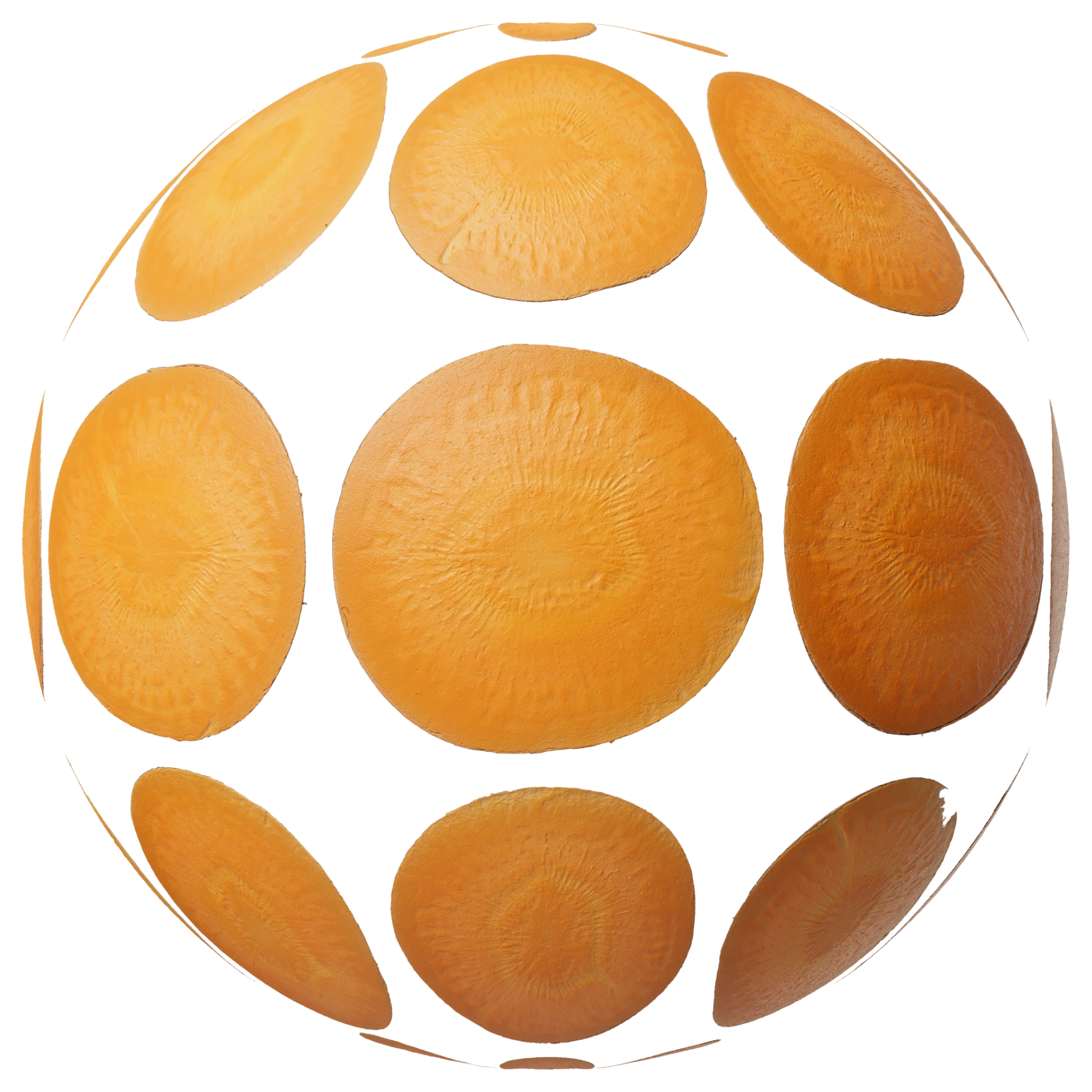 Food Cross Section Set 001