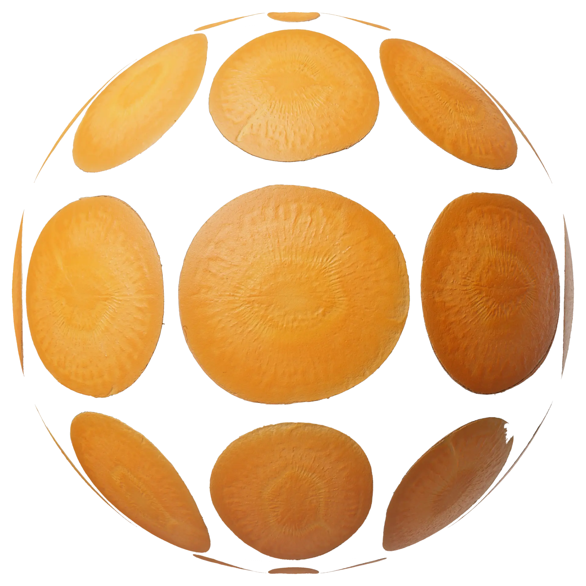 Food Cross Section Set 001