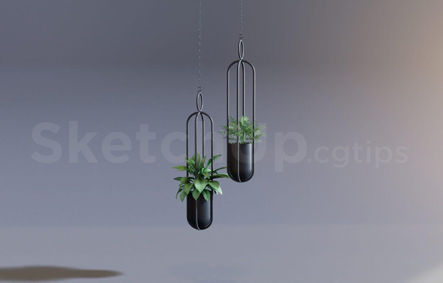 Plant