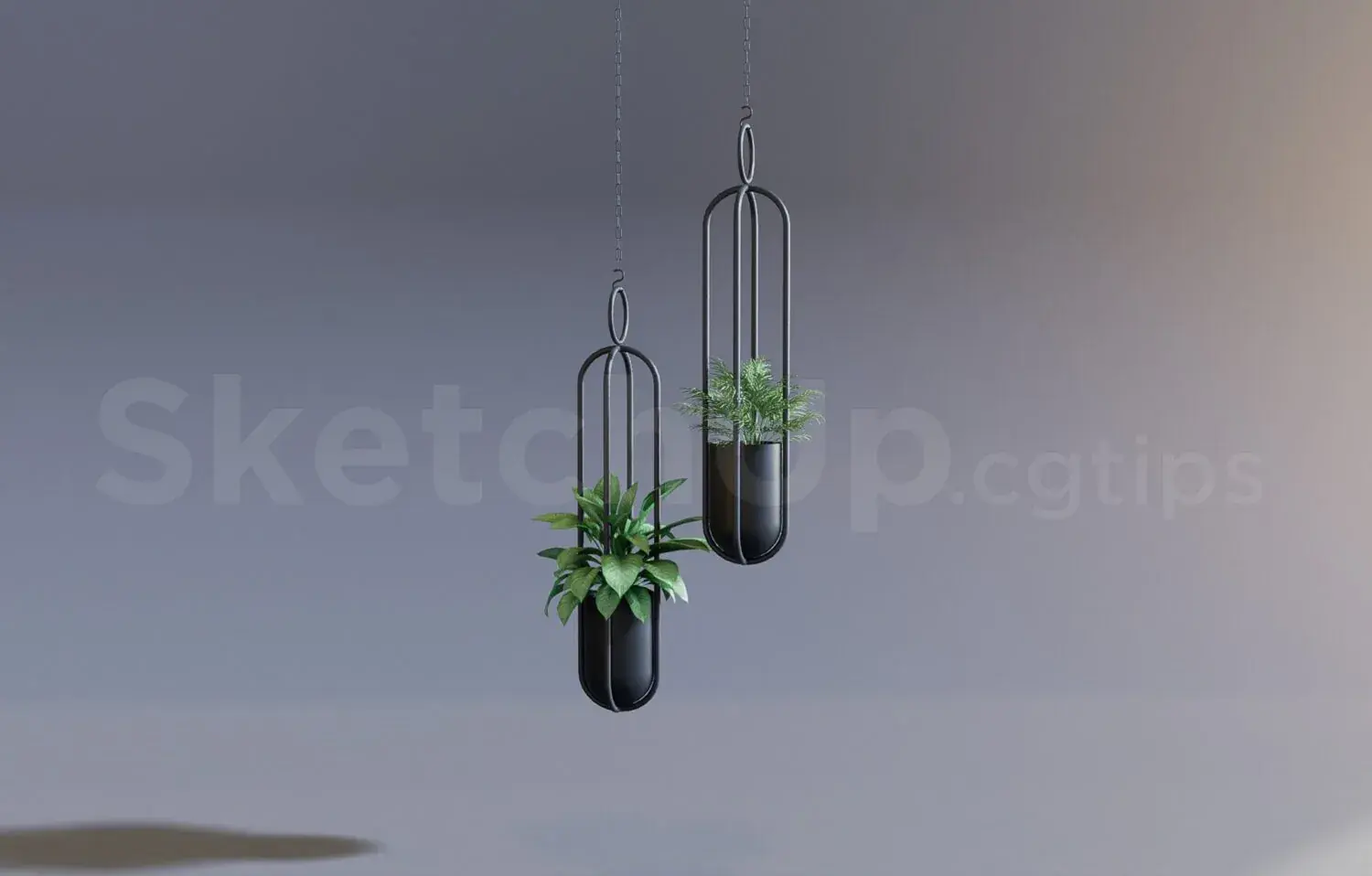 Plant