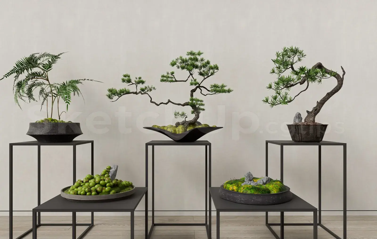 BonSai Tree