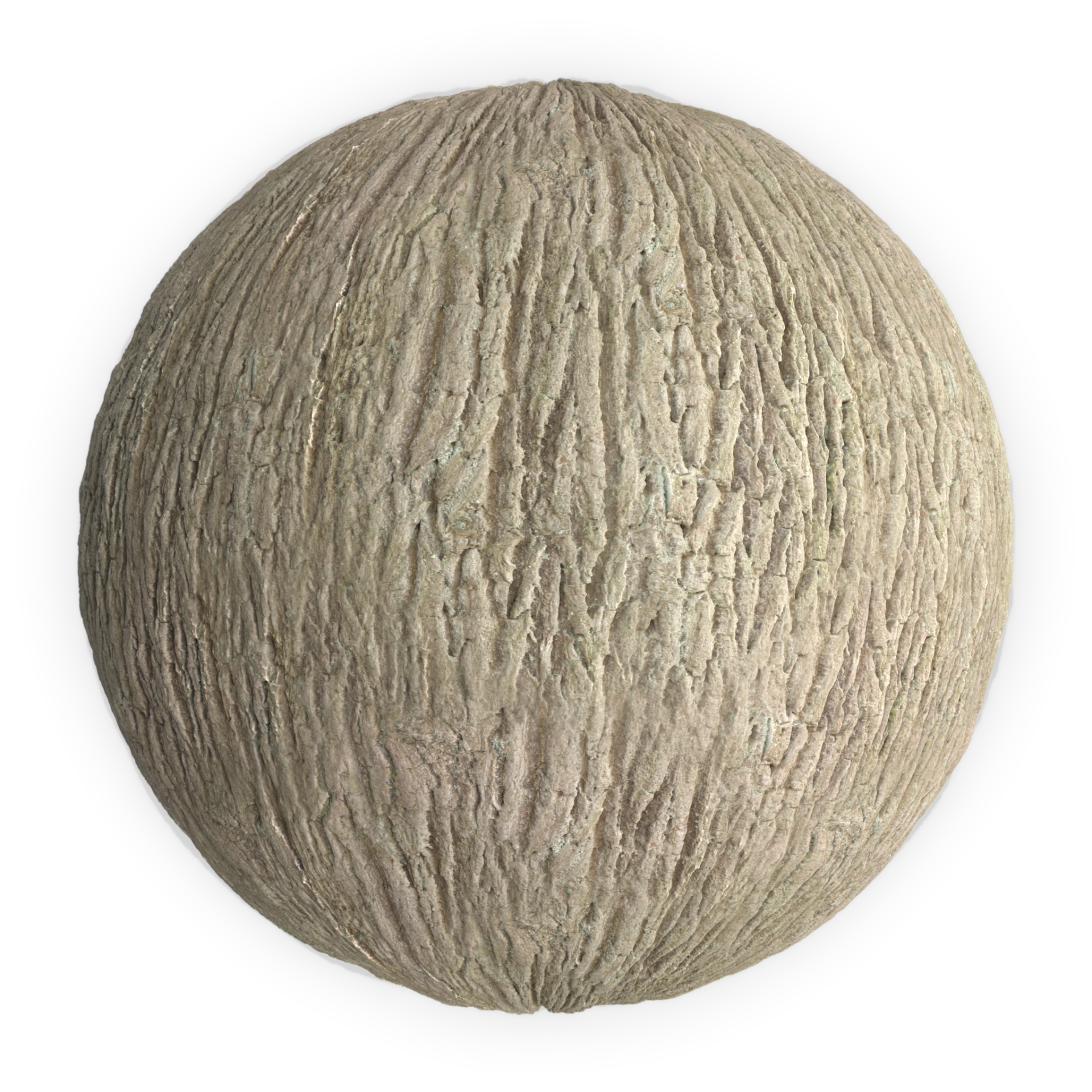 Bark 002