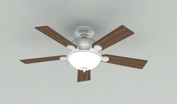 Ceiling Fan