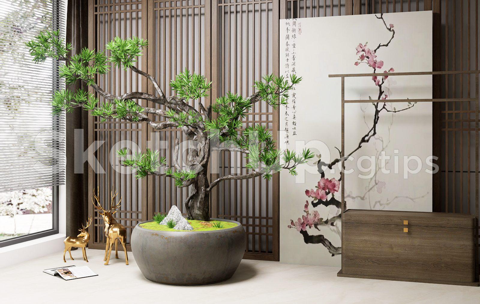 BonSai Tree