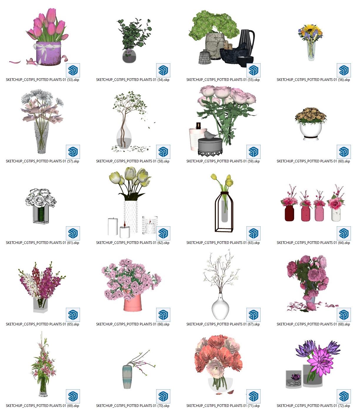 Potted Plants