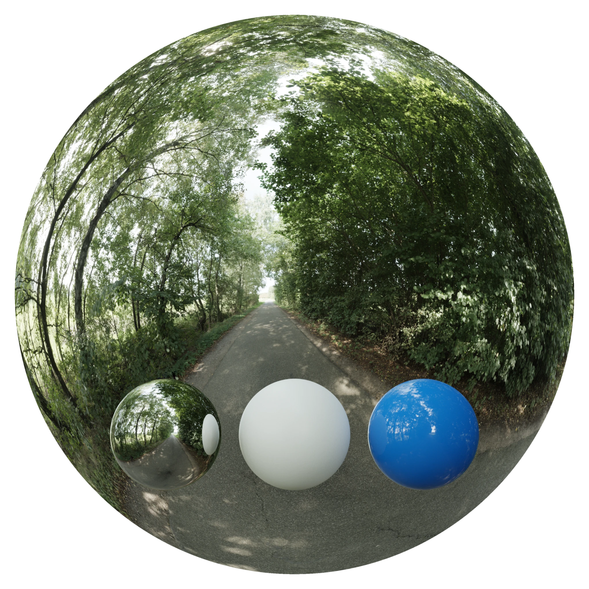 Day Environment HDRI 037