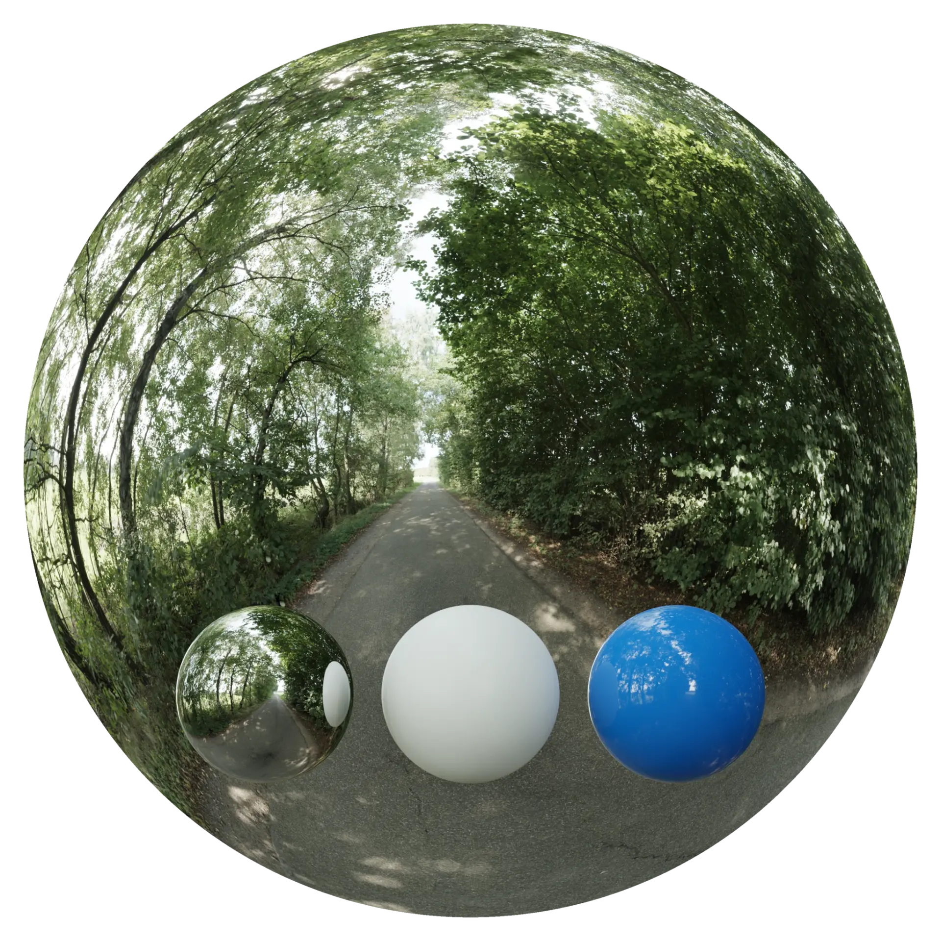 Day Environment HDRI 037
