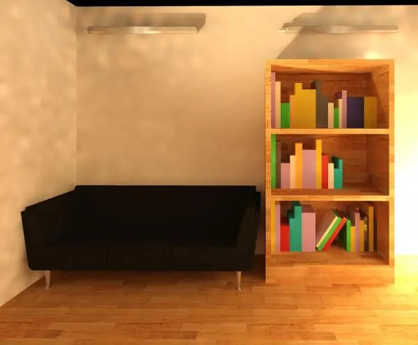 Bookshelf with books
