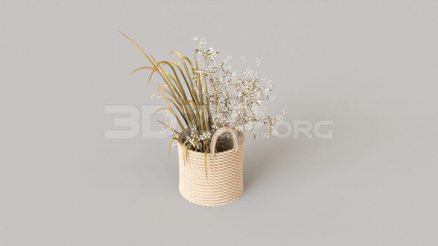 Plant