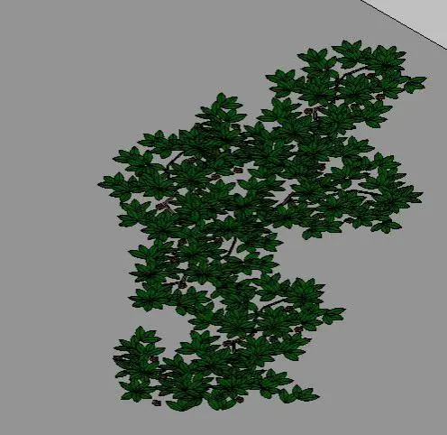 Face Base- Wall Creeper Leaves