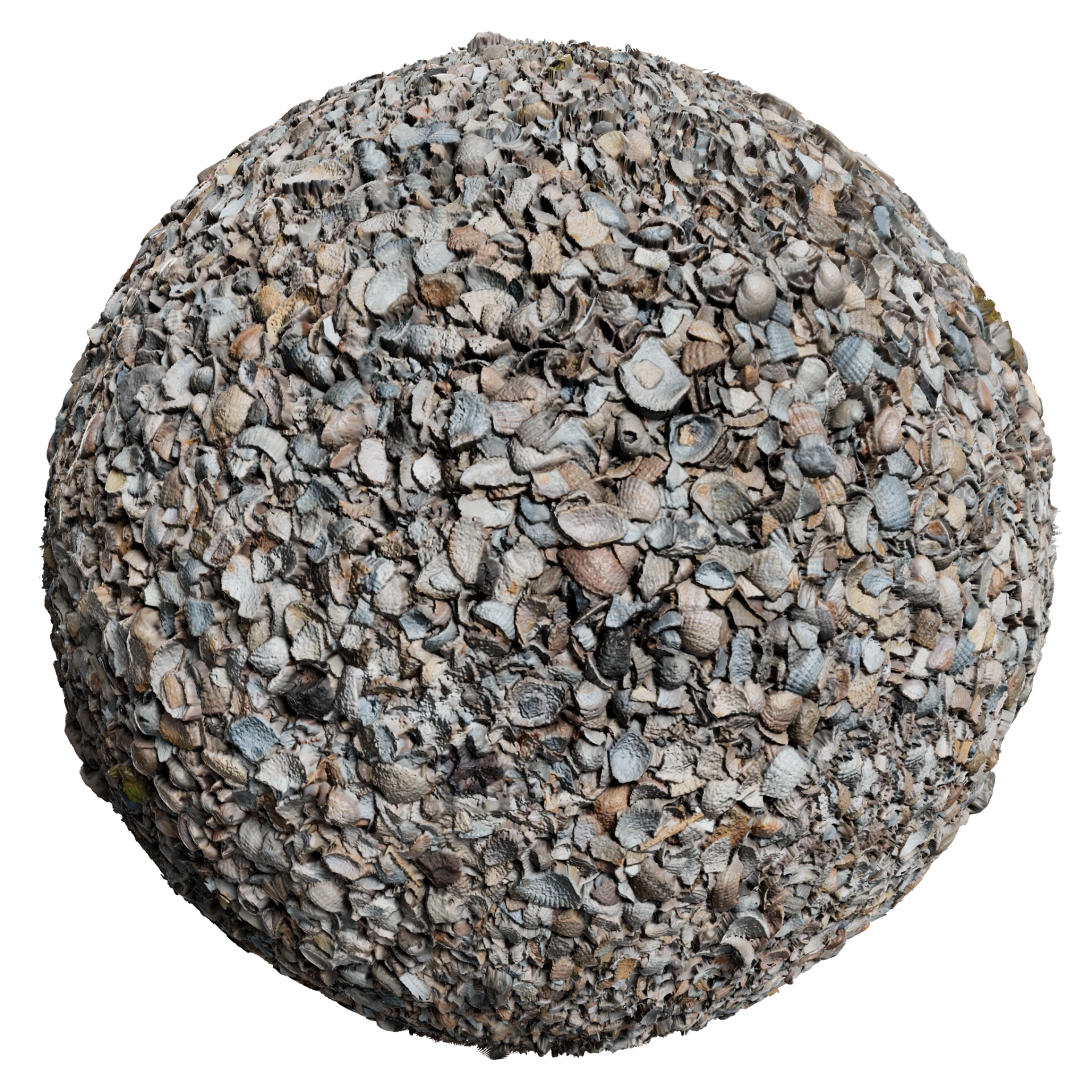 Shells 001