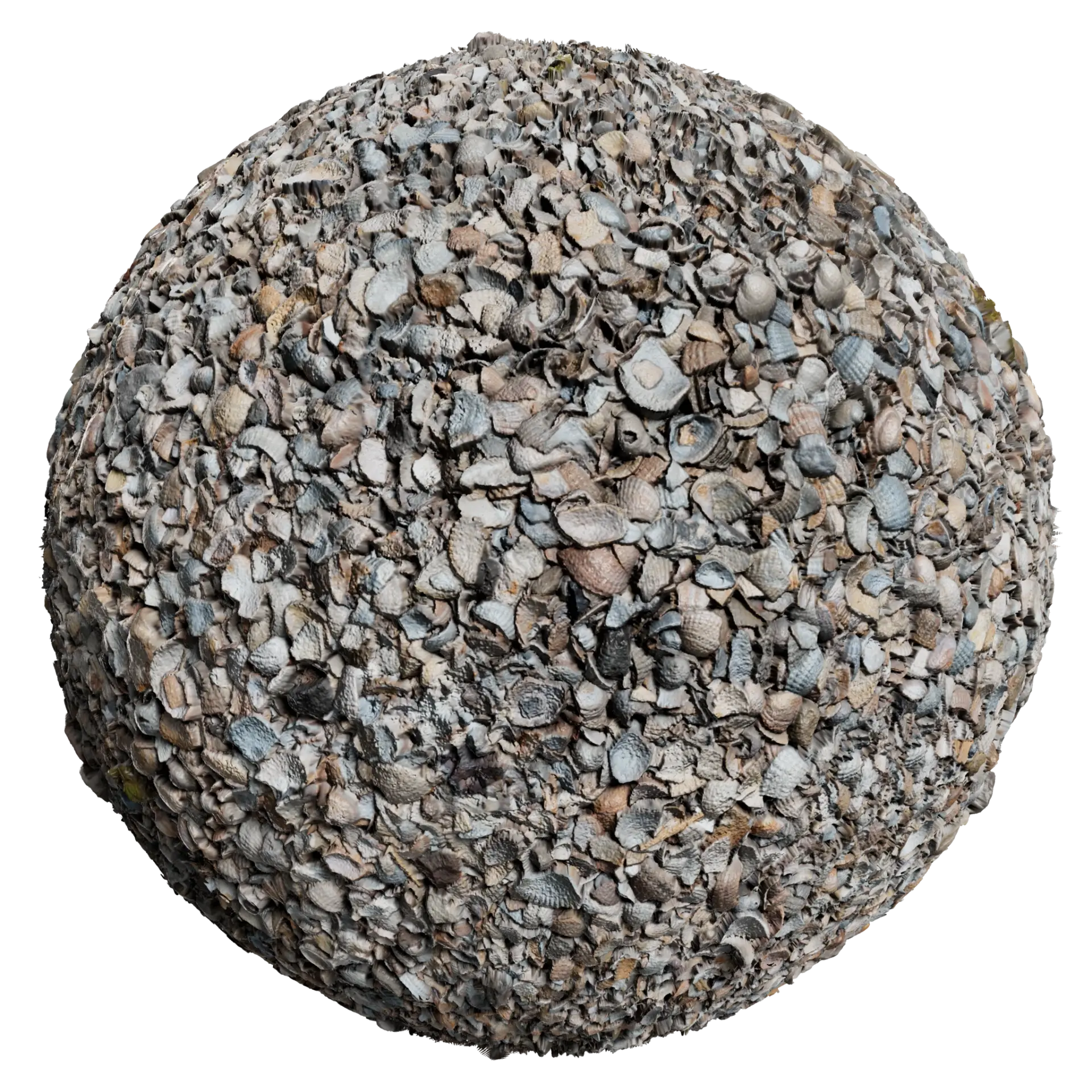 Shells 001 — preview 1 (ambientCG, CC0)
