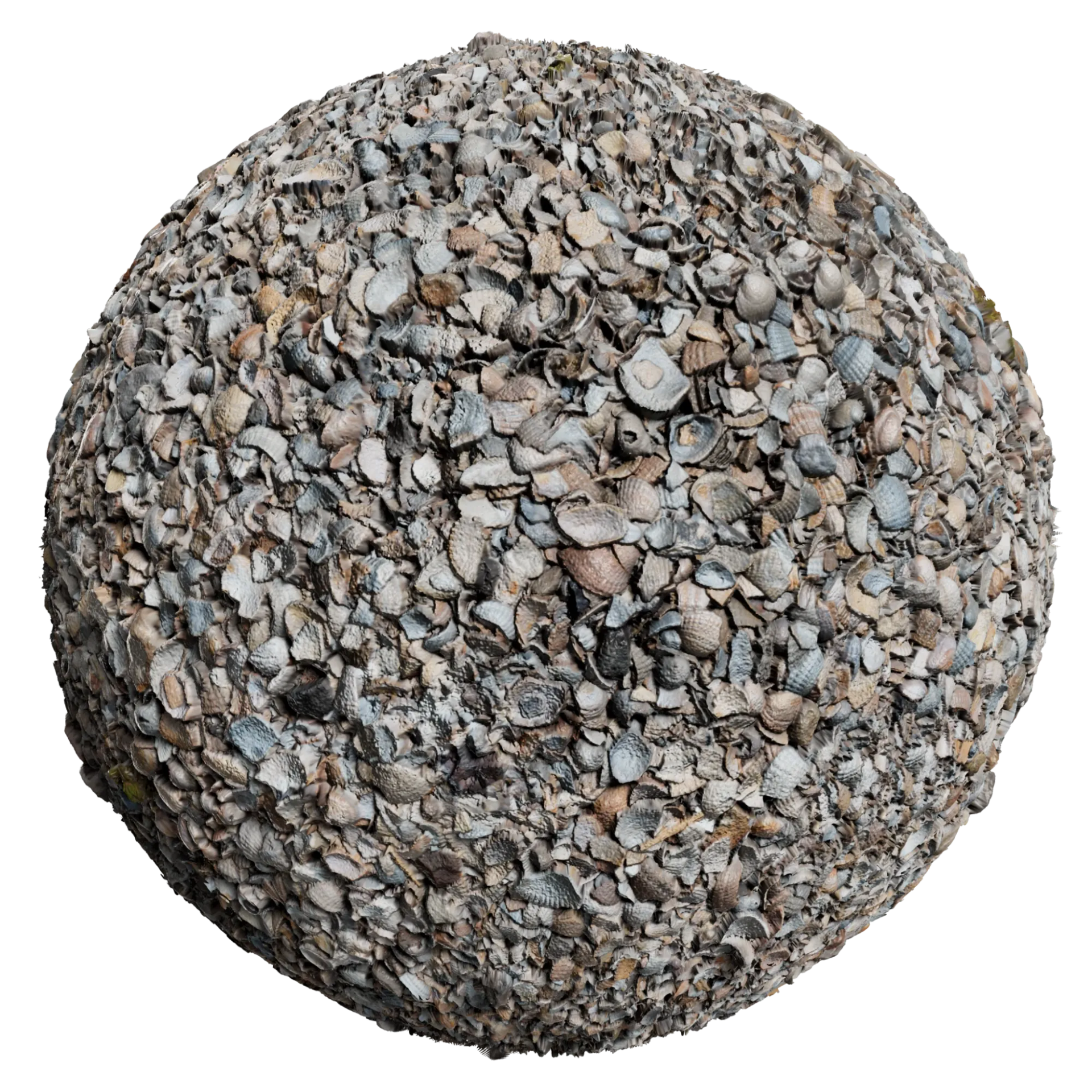 Shells 001