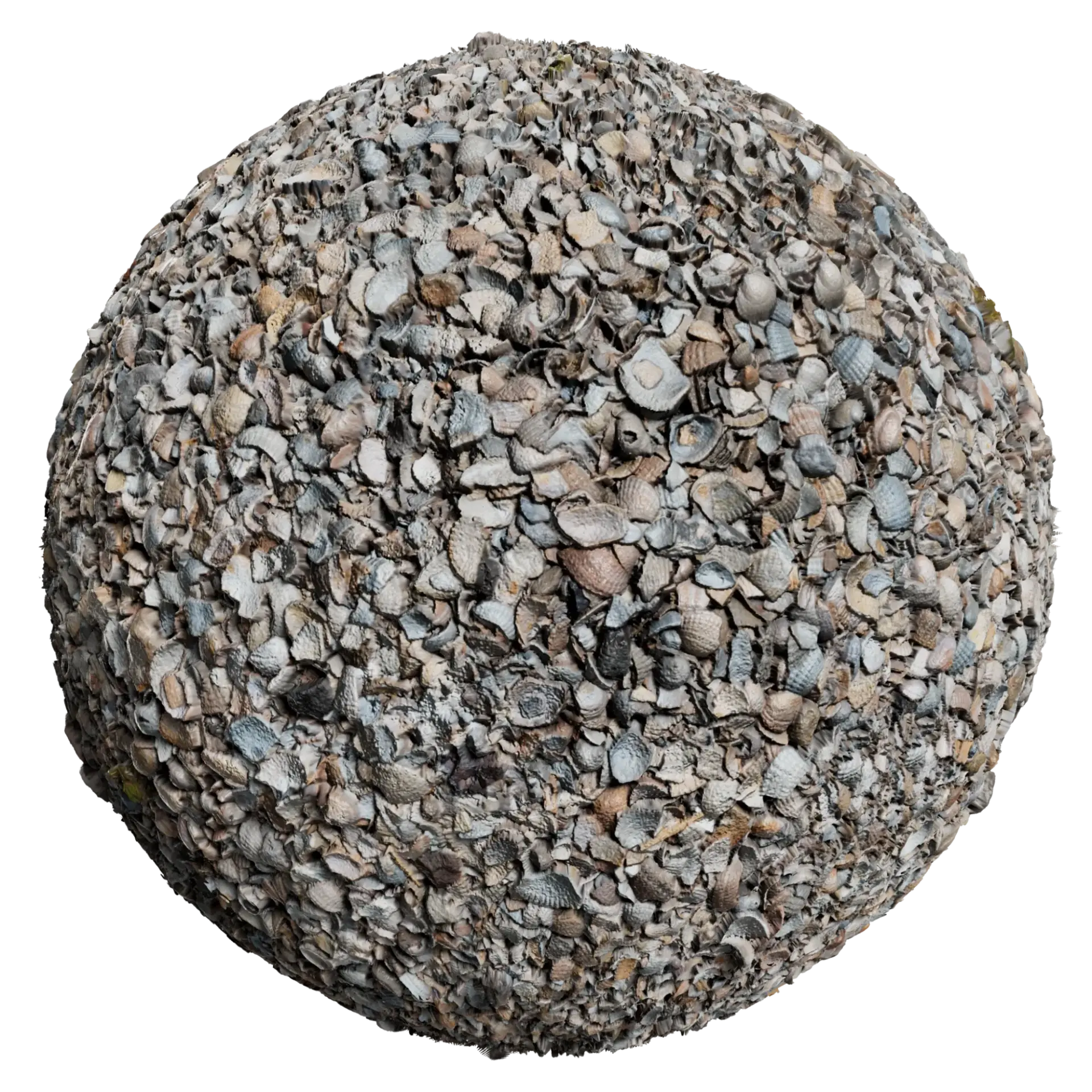 Shells 001