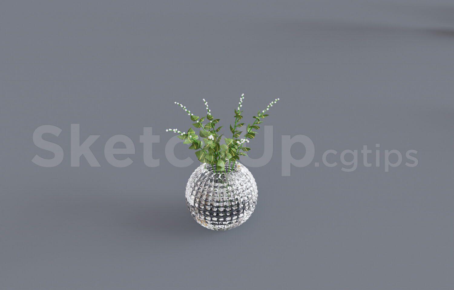 Plant