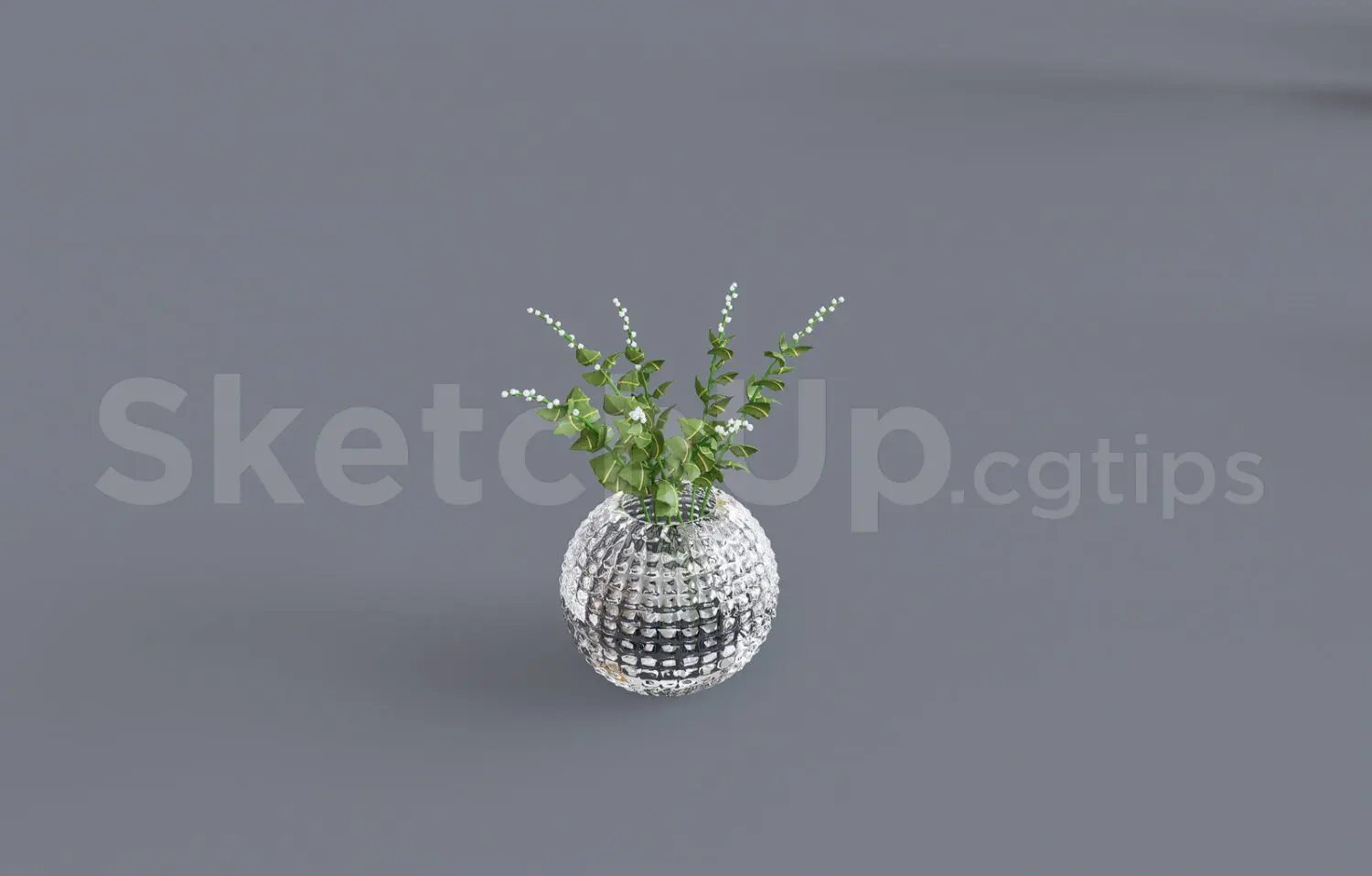 Plant
