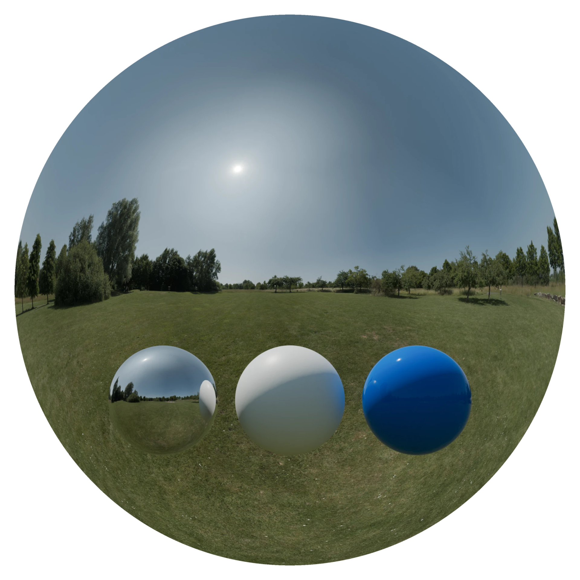 Day Environment HDRI 082