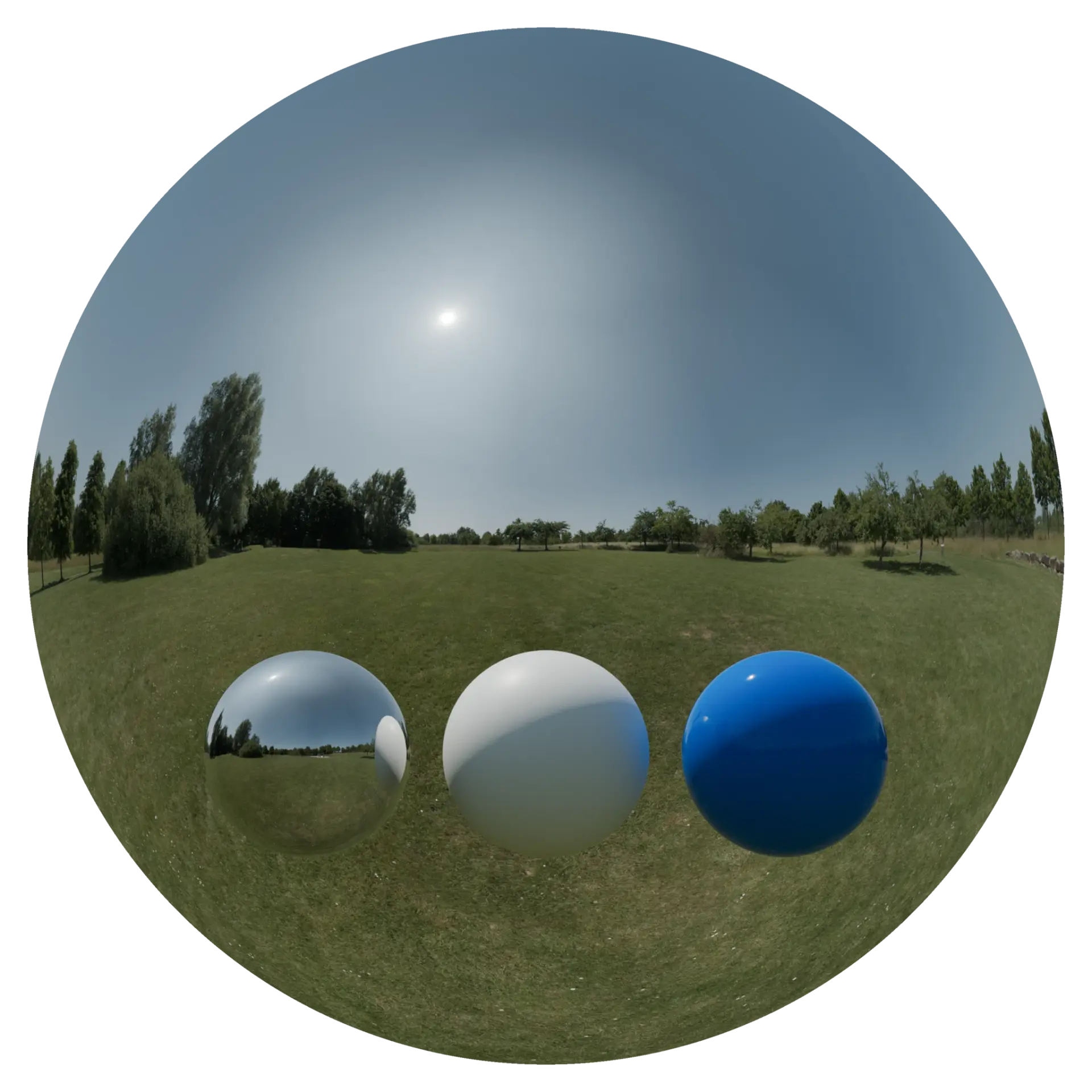 Day Environment HDRI 082