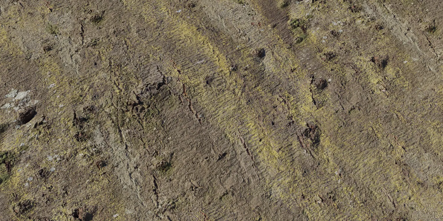 Japanese Hackberry Bark PBR Material Set — top-down view of Japanese Hackberry bark with mossy texture