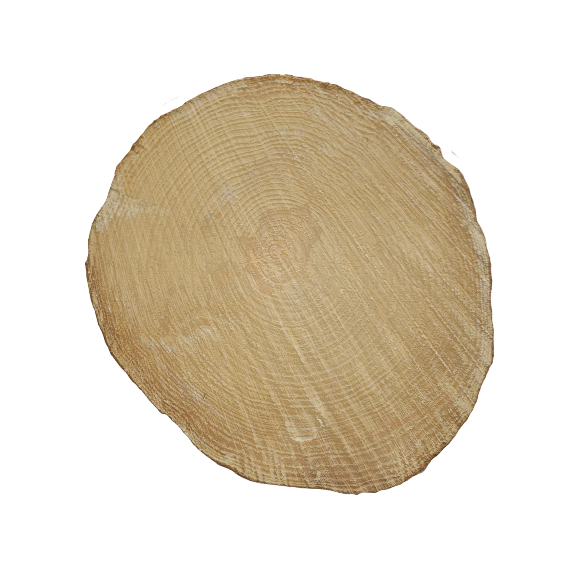 Tree End 004