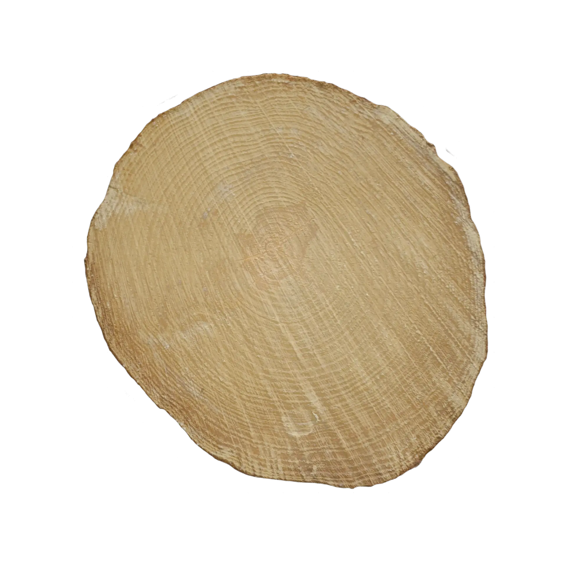 Tree End 004