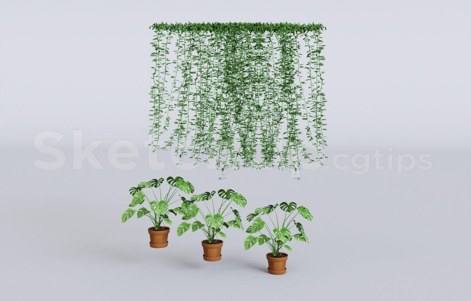 Plant