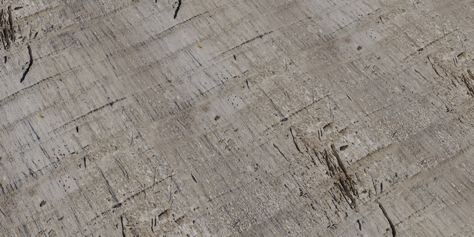 Palm Tree Bark