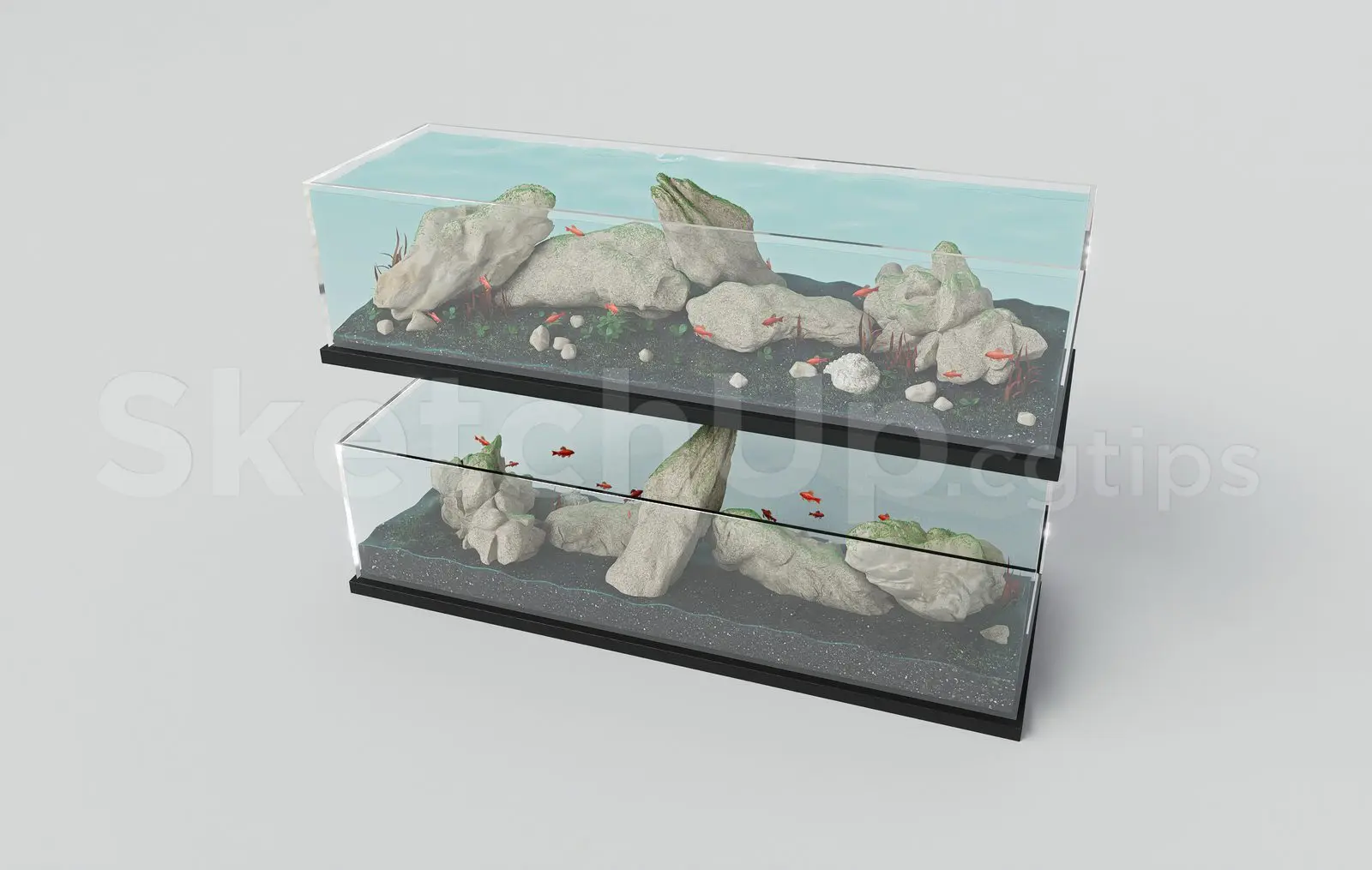 Aquarium Tank