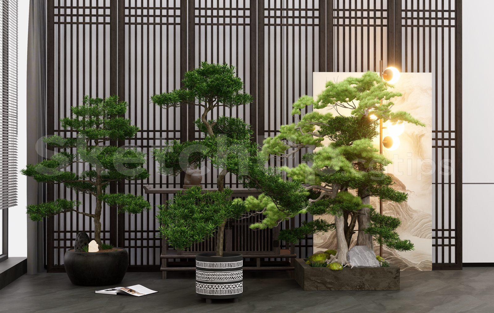 BonSai Tree