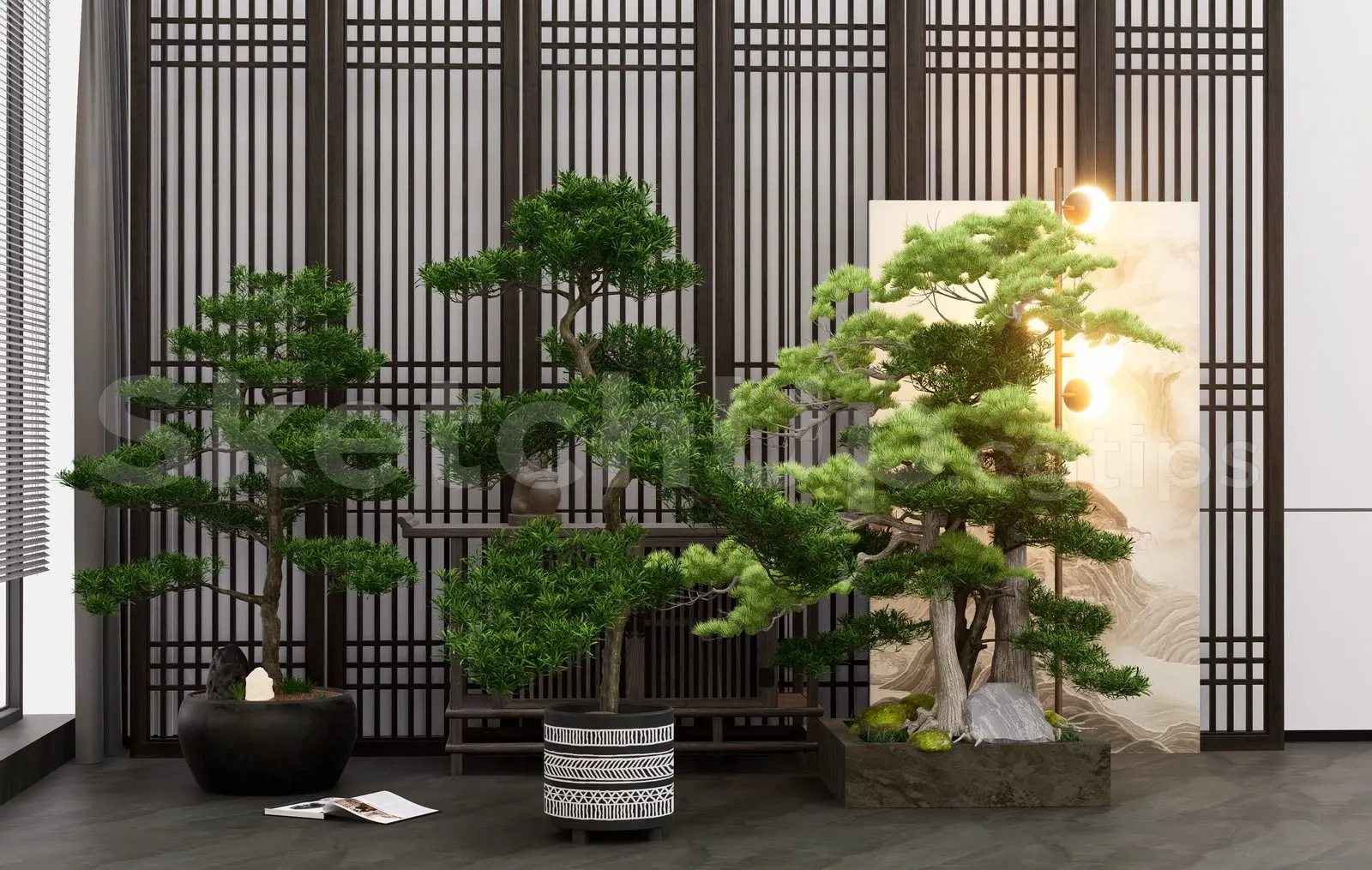 BonSai Tree