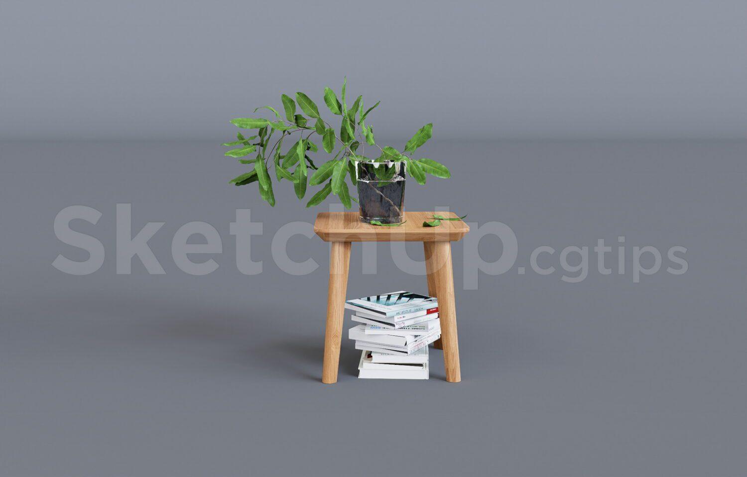 Plant