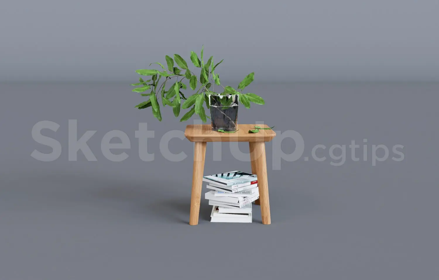 Plant