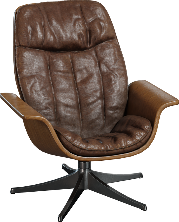 Mid Century Lounge Chair