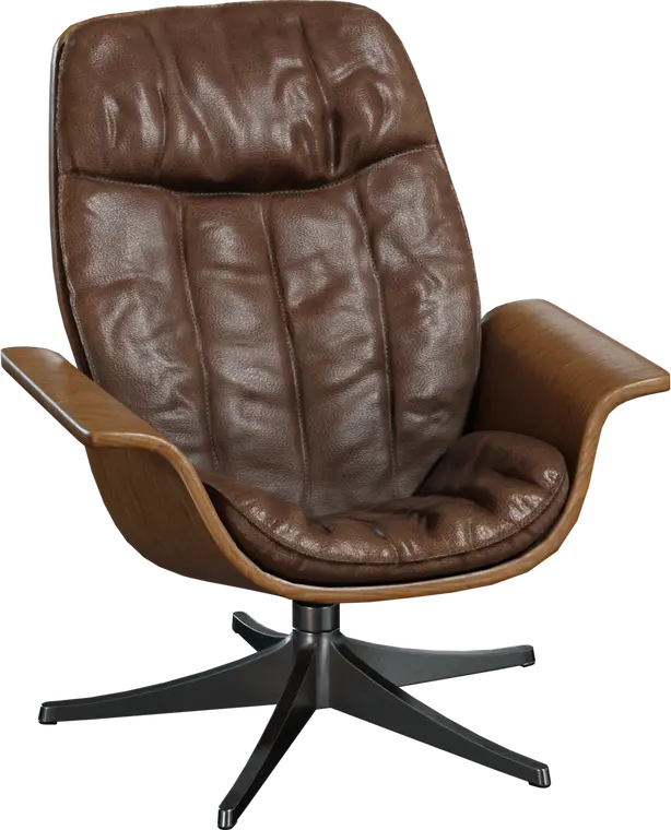Mid Century Lounge Chair