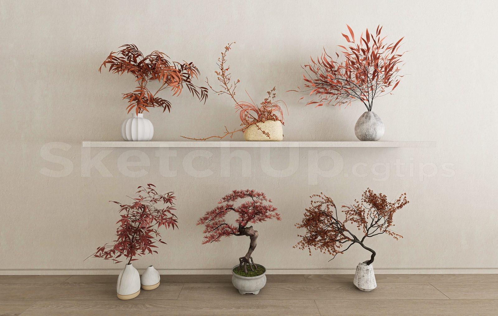 Plant
