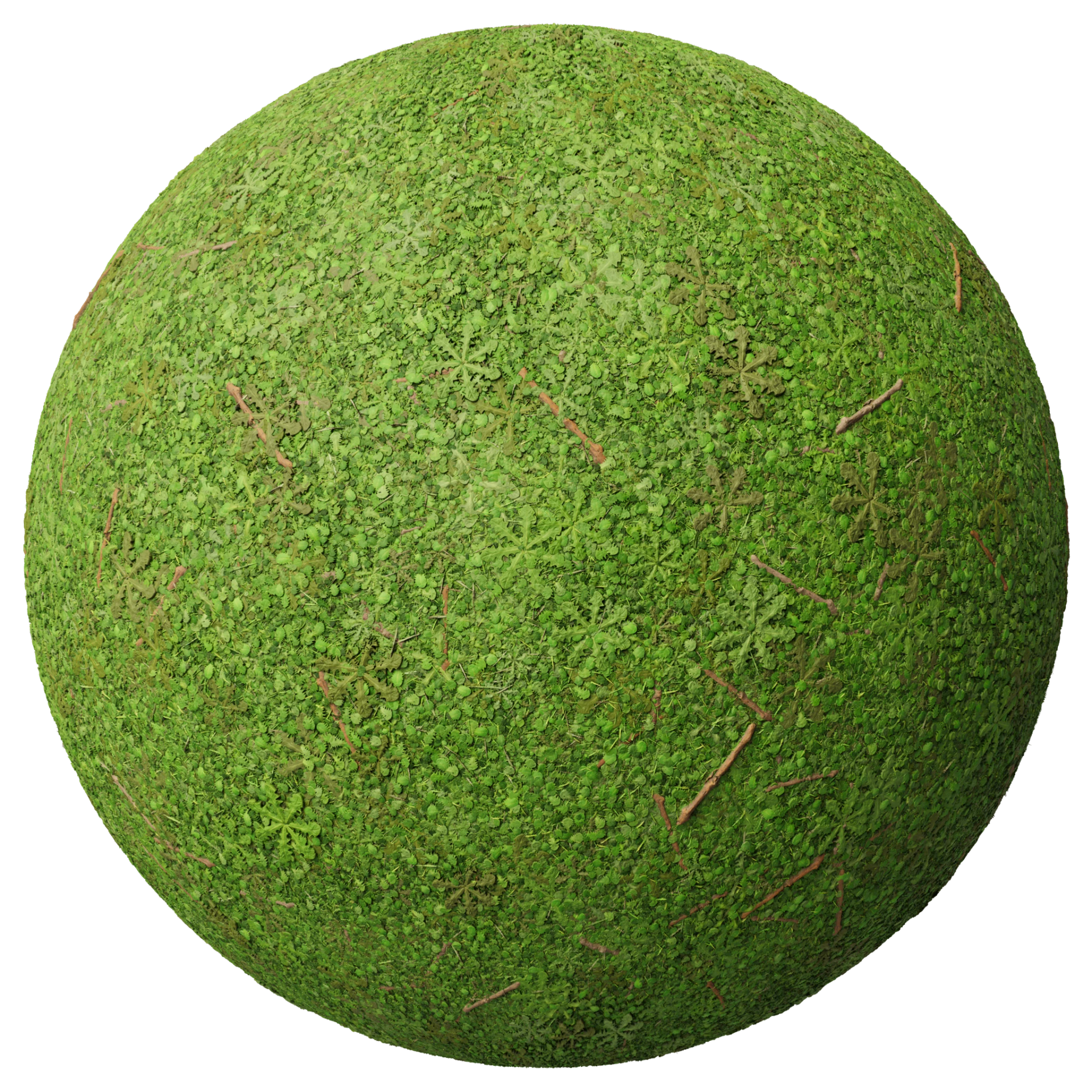 Grass 007