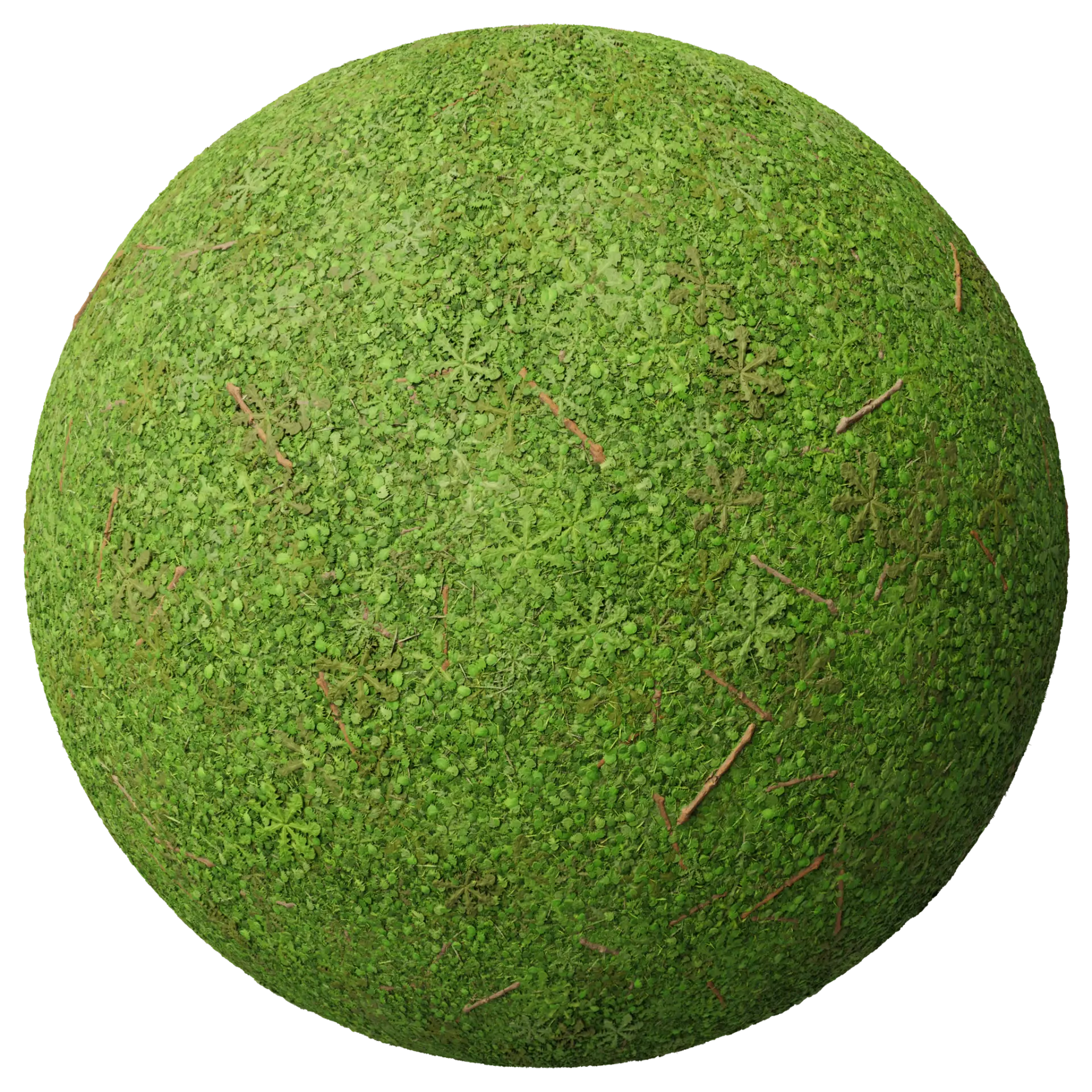Grass 007