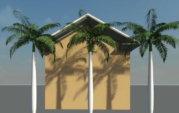 Royal Palm Tree