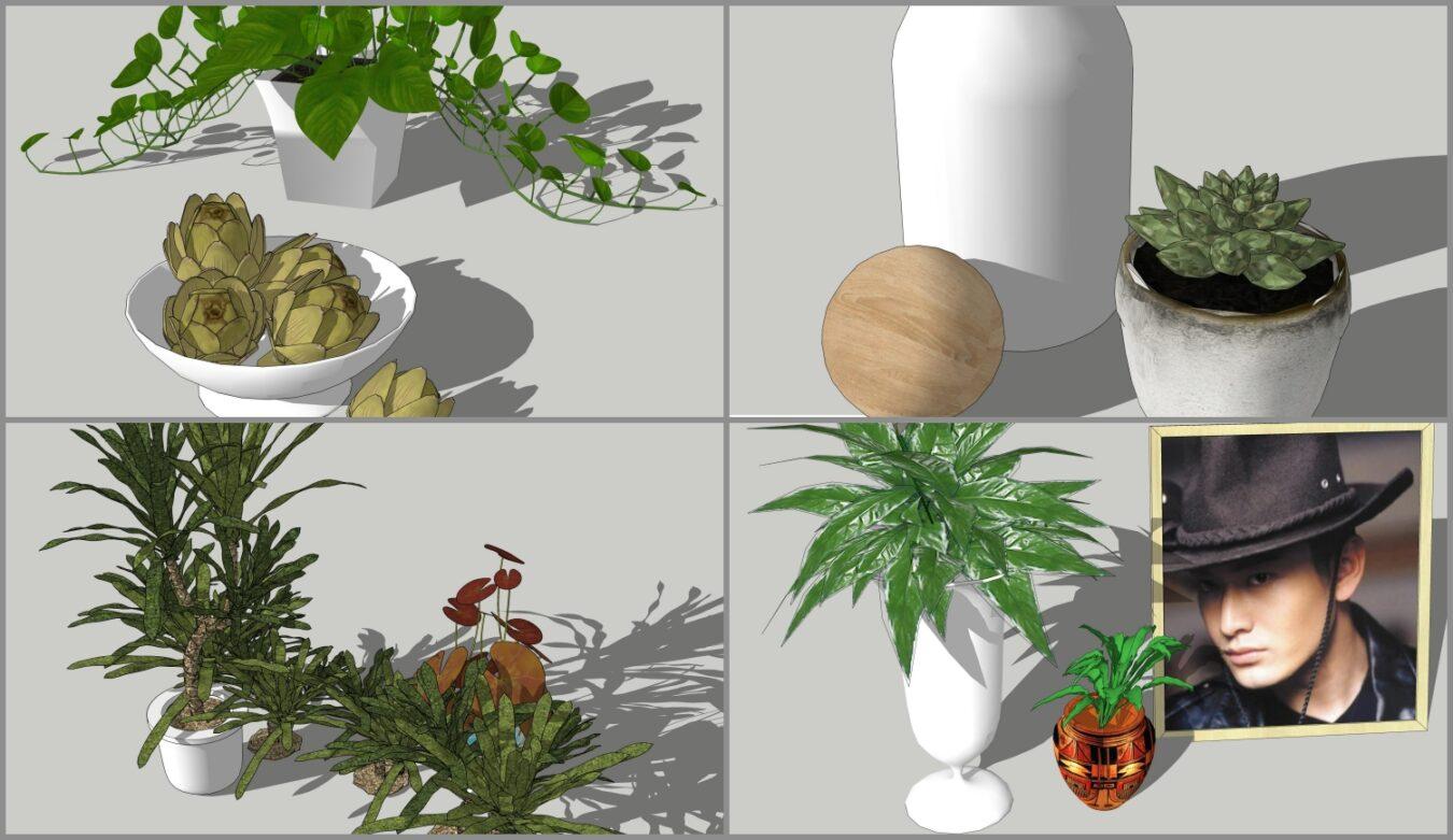 Plant
