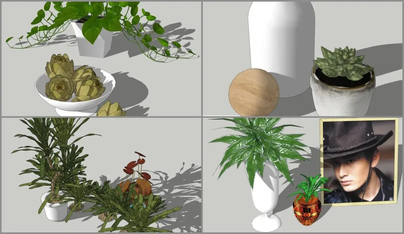 Plant