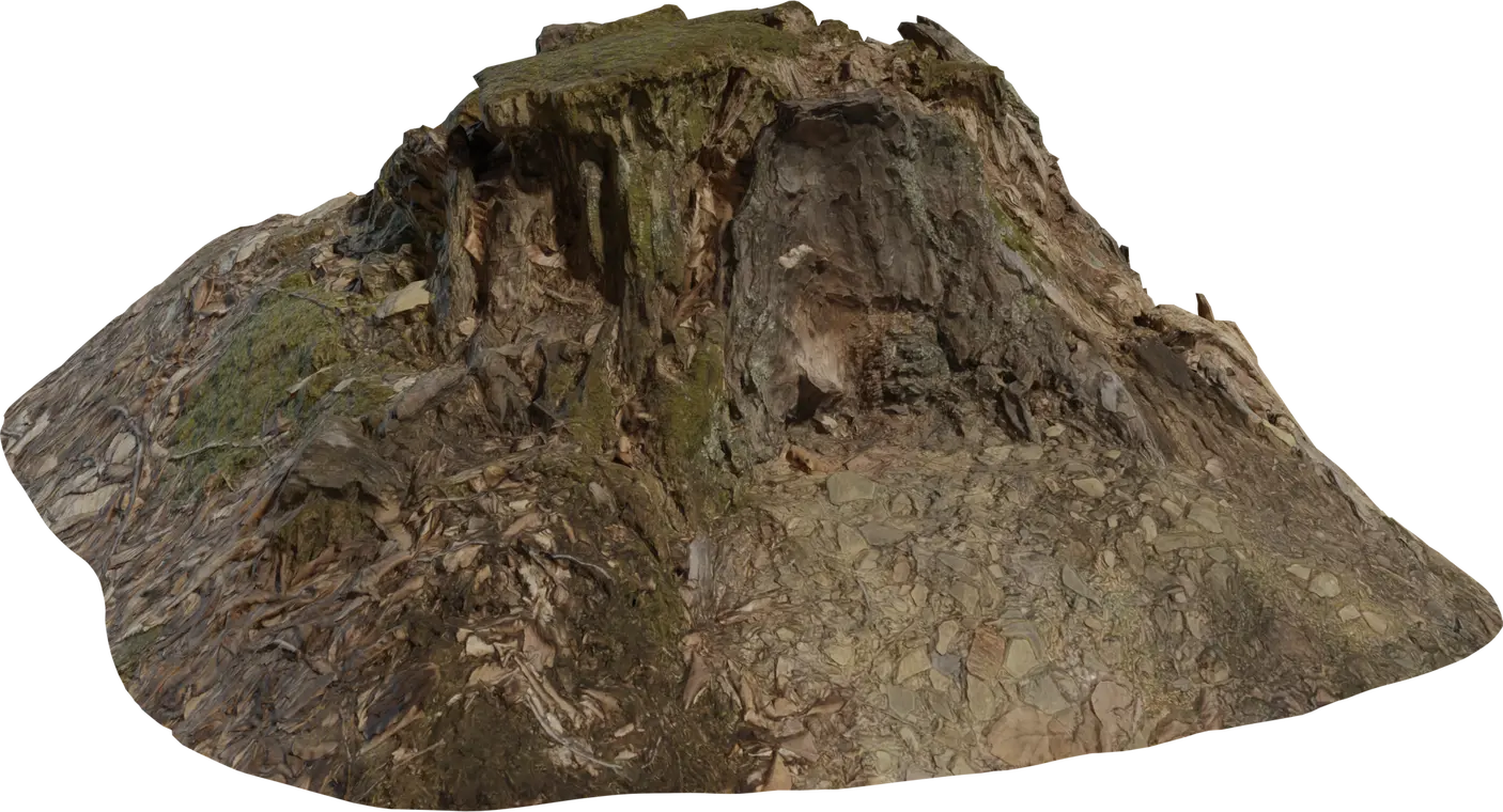 Tree Stump 1 — preview 1, by Rob Tuytel (Poly Haven, CC0)