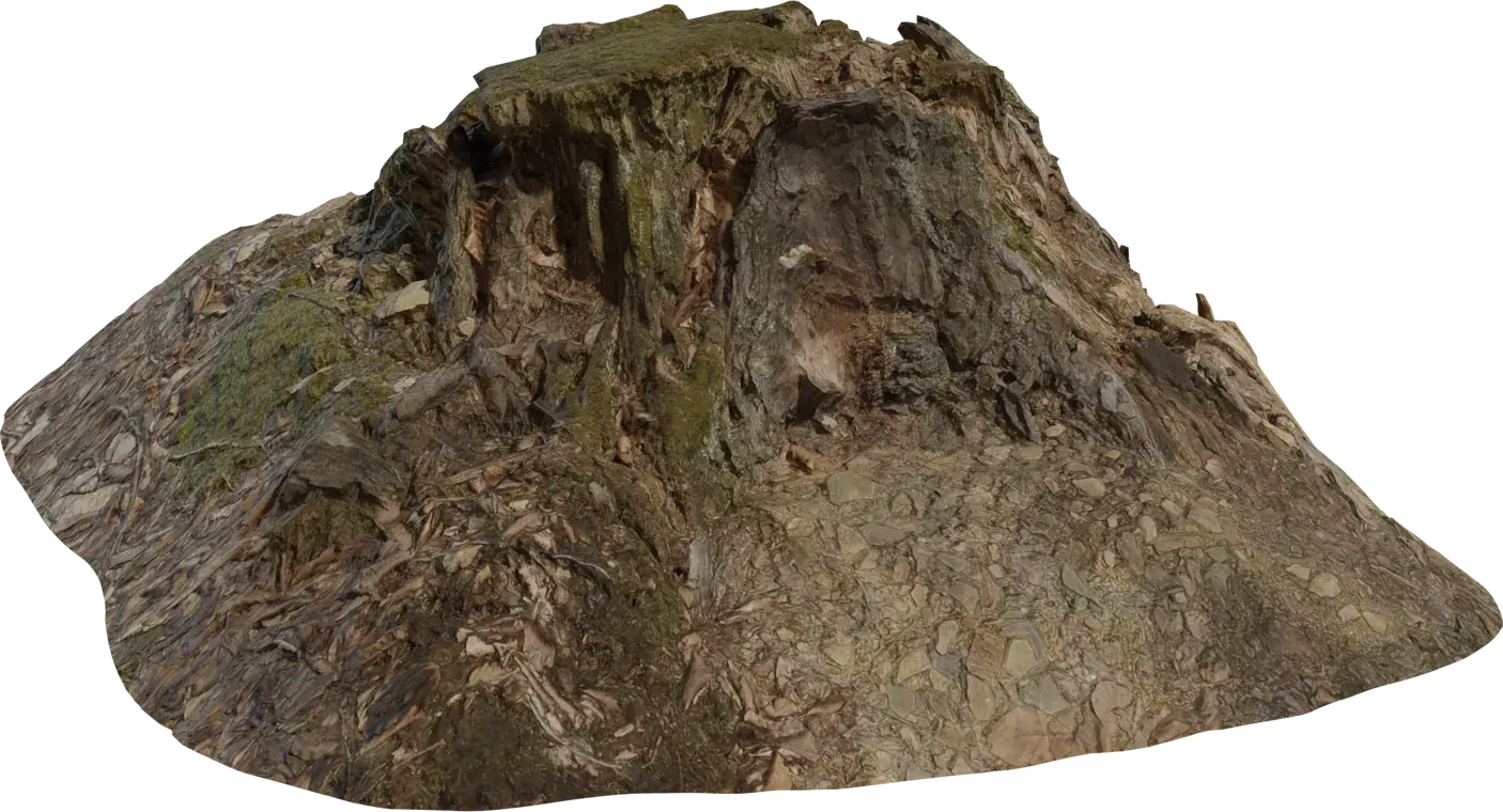 Tree Stump 1
