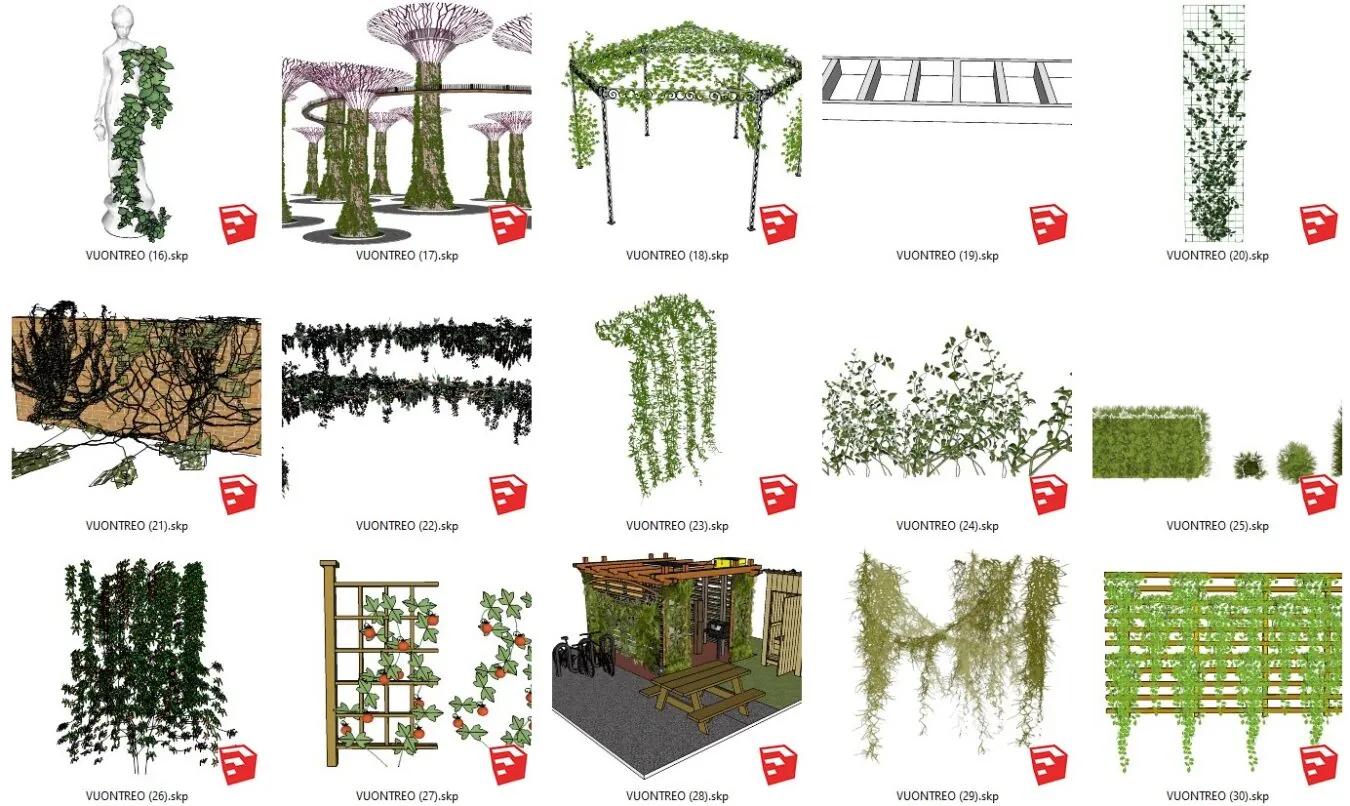 Hanging Garden