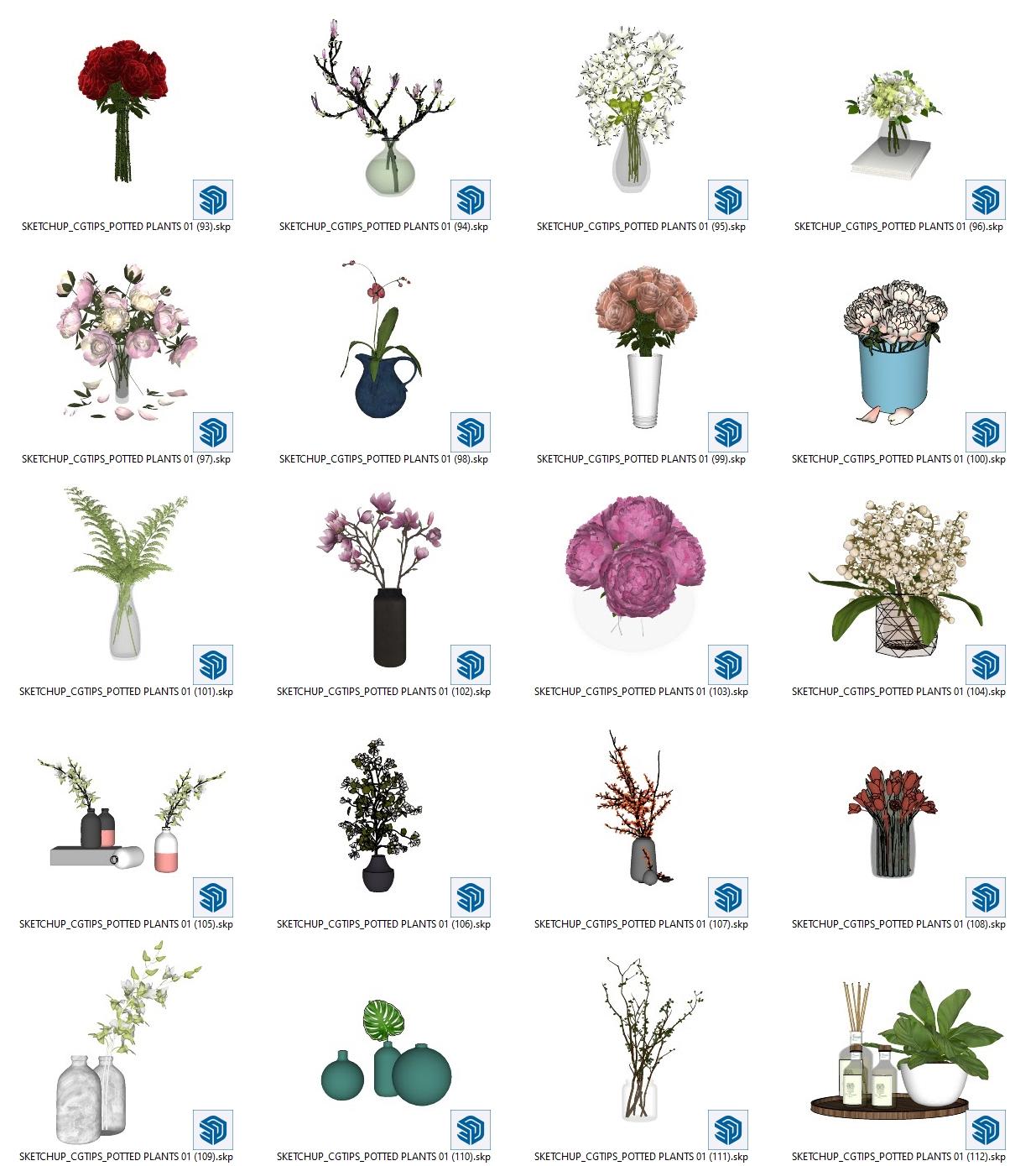 Potted Plants