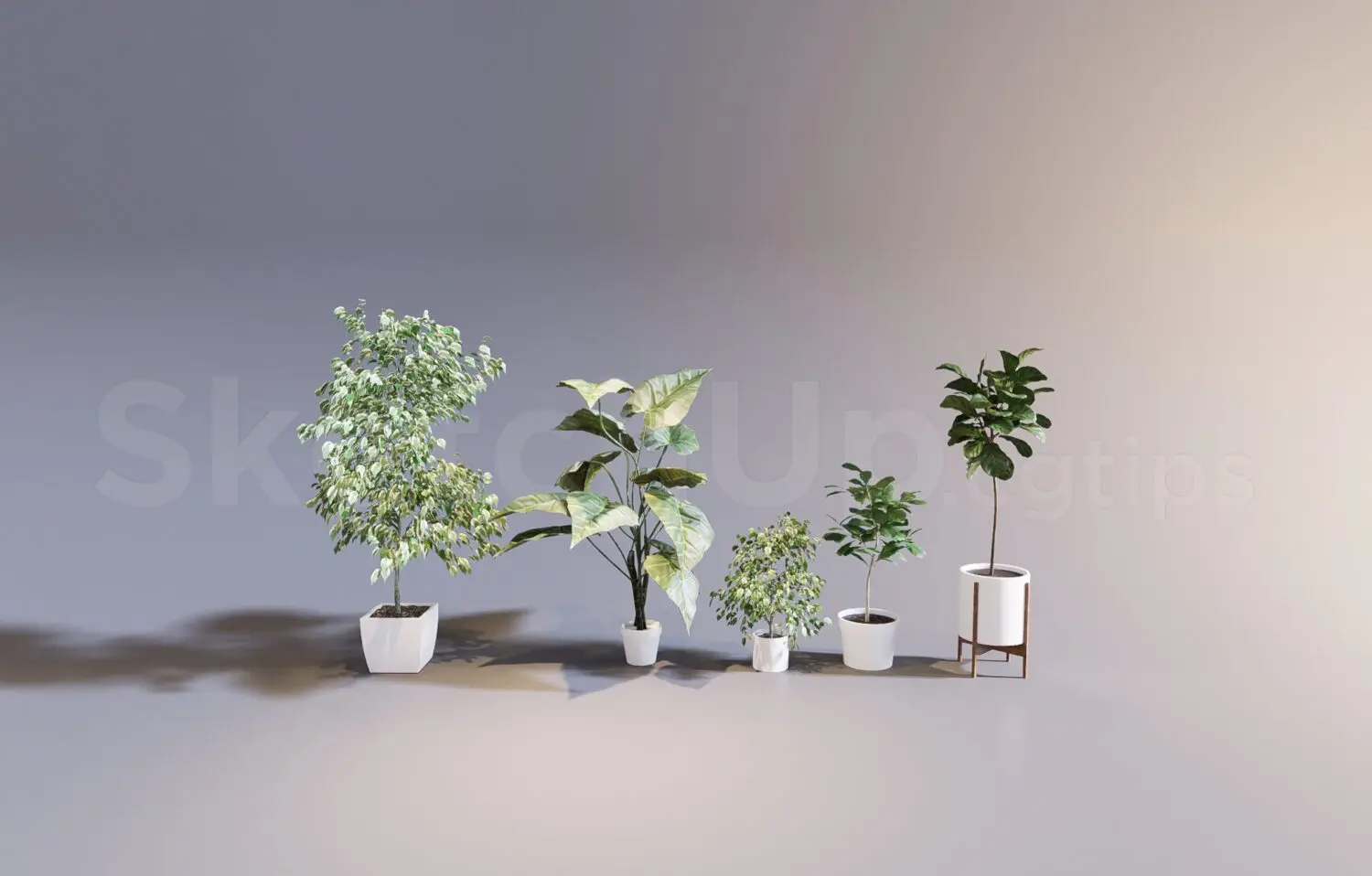 Plant — preview 1 (cgtips, CC0)