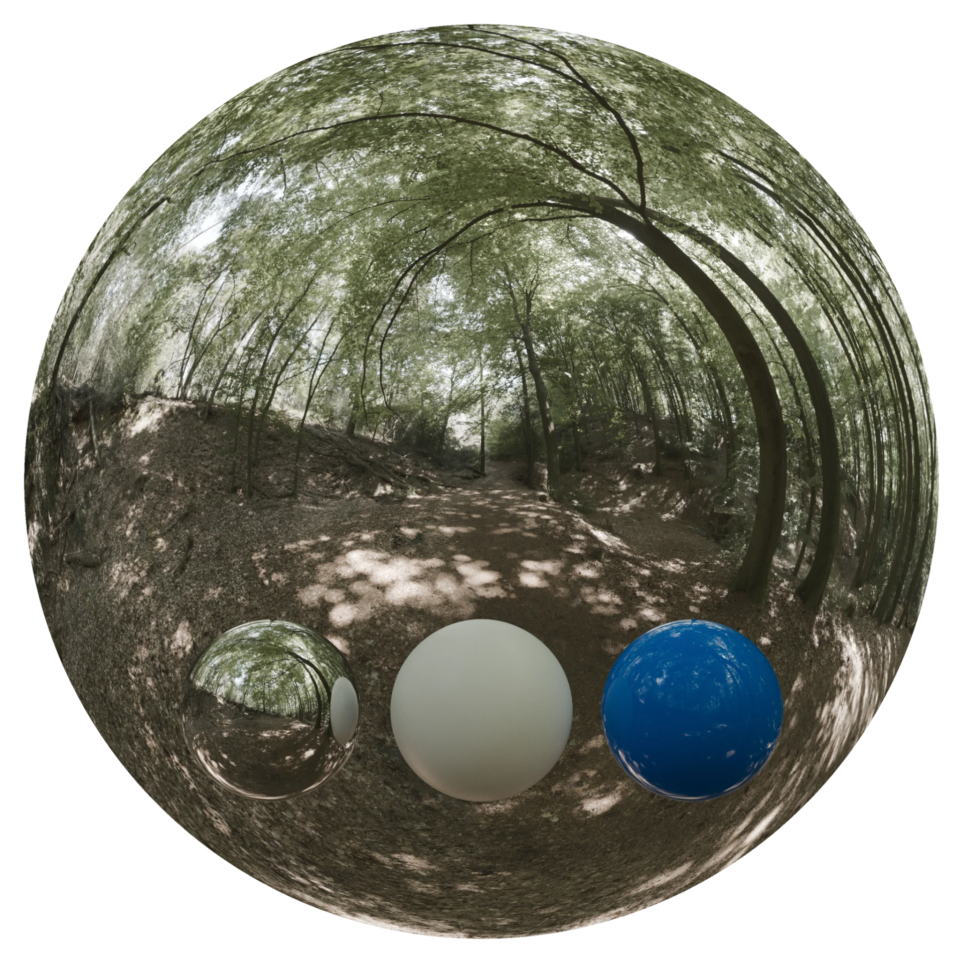 Day Environment HDRI 044