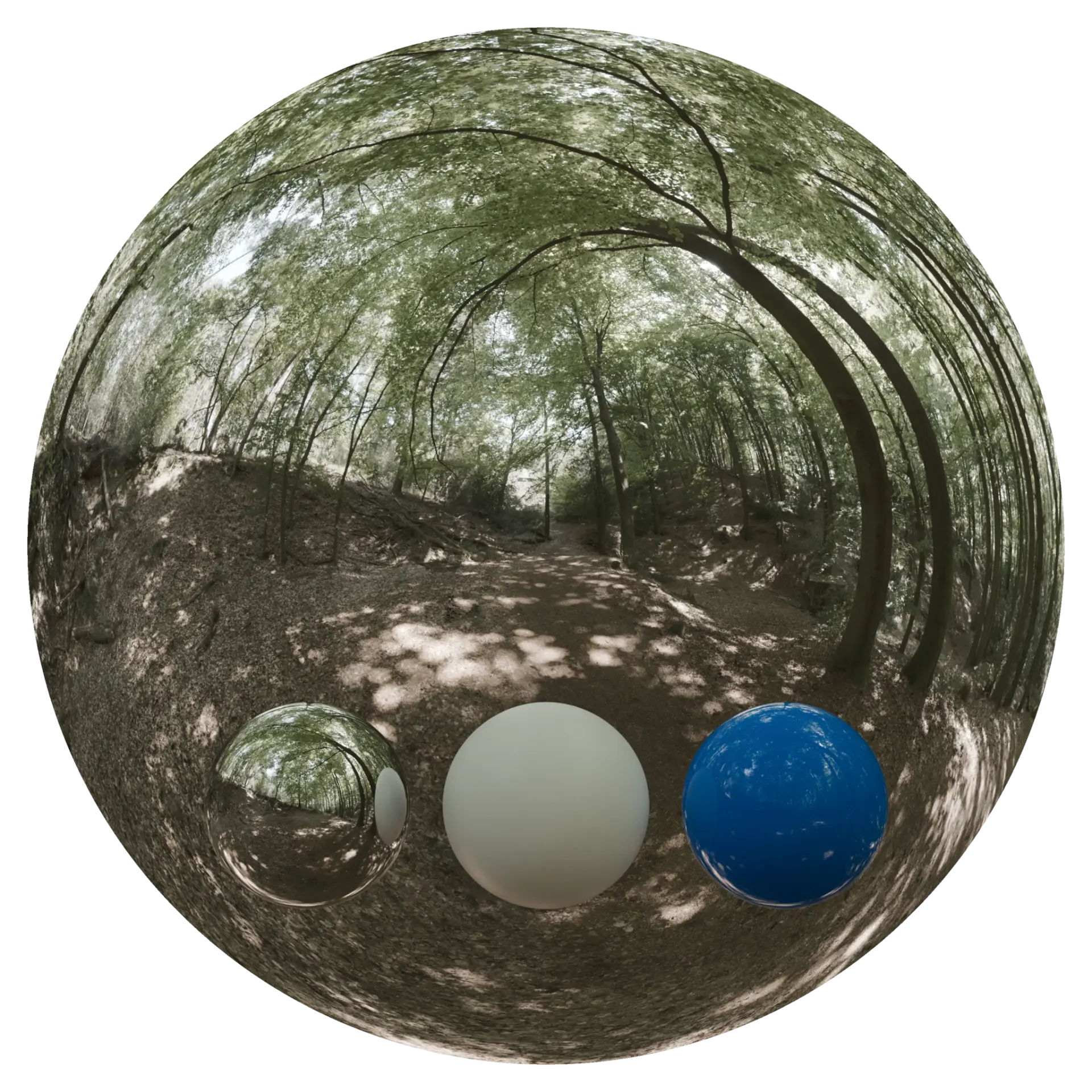 Day Environment HDRI 044