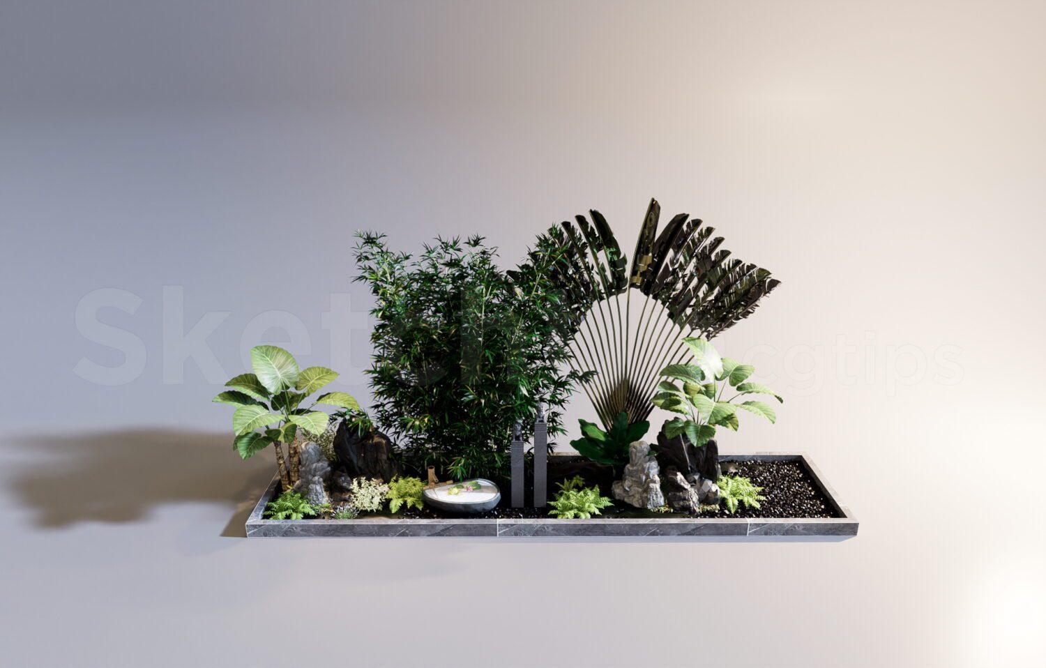 Plant